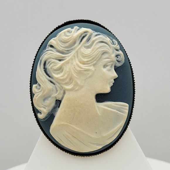 Unsigned Jewelry - Stunning Vintage Cameo C-Clasp Brooch in Blue and Cream